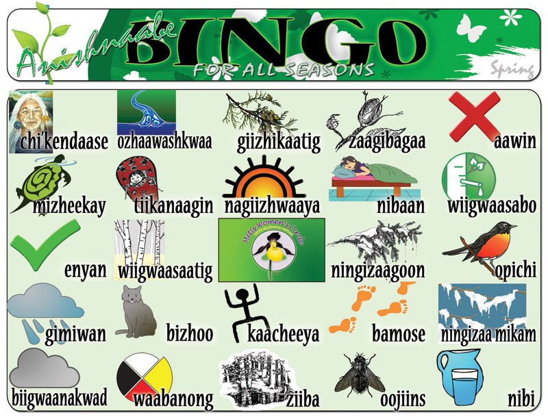 Anishinaabe Bingo